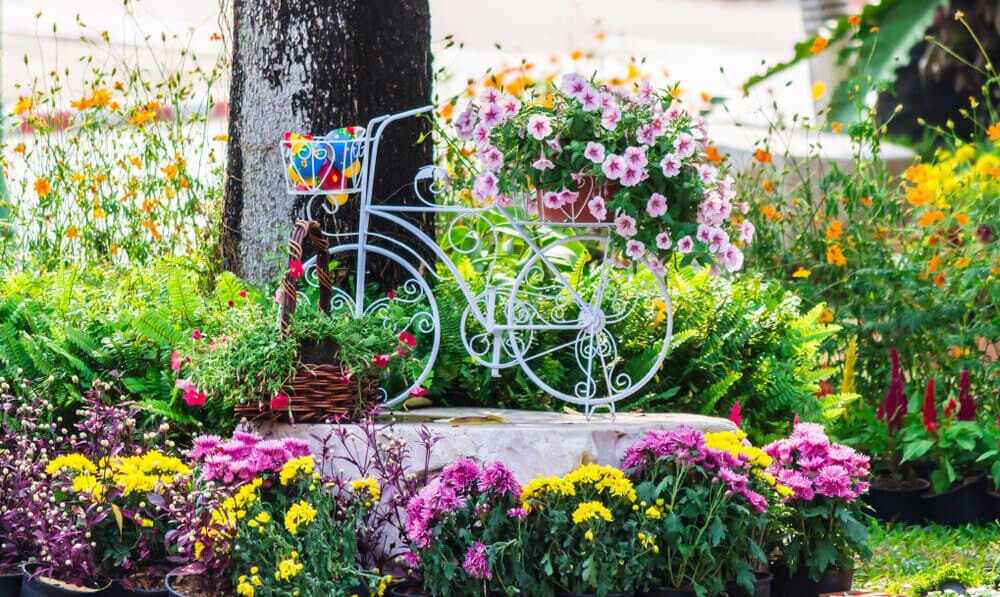 Home & Garden