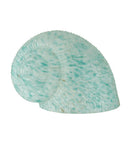 Meyda 5"W X 6"L TEAL DAPPLE SNAIL SHADE 11693