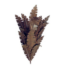 Meyda 20" Wide Tiki Wall Sconce 120142
