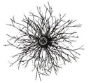 Meyda 36"w Pussy Willow Led Pendant - 136523