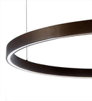 Meyda 39"w Anillo Halo Pendant- 179664