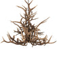 Meyda 72" Wide Antlers Elk 24 Light Chandelier- 200433
