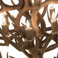 Meyda 34" Wide Antlers Mule Deer 12 LT Chandelier- 200460