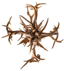 Meyda 55" Wide Antlers Elk & Fallow Deer 10 Light Chandelier- 212275