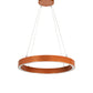 Meyda 40" Wide Anillo Halo Pendant- 225704