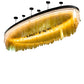 Meyda 168" Long Kepley Chandelier- 228181