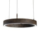 Meyda 16" Wide Anillo Halo Pendant- 229984