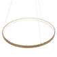 Meyda 48" Wide Anillo Halo Pendant 231762