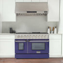 Kucht 48-Inch Pro-Style Dual Fuel Range in Stainless Steel with Blue Oven Door KDF482-B
