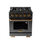 KUCHT Gemstone Professional 30-Inch 4.2 Cu. Ft. Dual Fuel Range for Propane Gas with Sealed Burners and Convection Oven in Titanium Stainless Steel KED304/LP