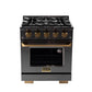 KUCHT Gemstone Professional 30-Inch 4.2 cu. ft. Natural Gas Range with Sealed Burners and Convection Oven in Titanium Stainless Steel with Gold Accents KEG303