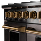 KUCHT Gemstone Professional 48-Inch 6.7 cu. ft. Propane Gas Range with Sealed Burners, Griddle/Grill and Two Ovens - One Convection - in Titanium Stainless Steel KEG483/LP