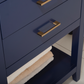 Design Element Cara 24" Single Sink Vanity - Blue S02-24-BLU