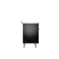 ILVE Professional Plus II 36-Inch Induction Range - UPI366WMP