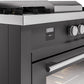 ILVE Professional Plus II 60 Inch Dual Fuel Freestanding Range in Stainless Steel with Trim - UP60FSWMP