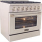 Kucht Professional 36 in. 5.2 cu ft. Natural Gas Range, Range Hood & Dishwasher Package, AP-KNG361-S-2
