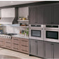Thor Kitchen 30 in. Professional Self-Cleaning Wall Oven in Stainless Steel 
