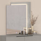 Whiteline Modern Living Damien Mirror - MR2022
