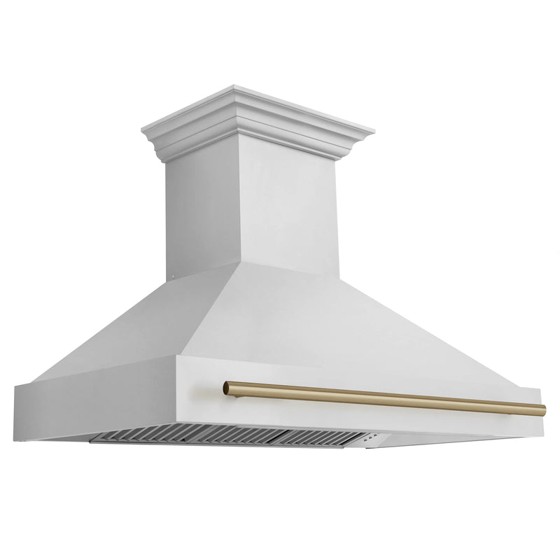 ZLINE Autograph Edition 3-Piece Appliance Package - 48-Inch Dual Fuel Range, Wall Mounted Range Hood, & 24-Inch Tall Tub Dishwasher in Stainless Steel with Champagne Bronze Trim (3AKP-RARHDWM48-CB)