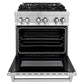 Zline 30 dual fuel range without background