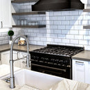 ZLINE Apollo Kitchen Faucet with Color Options