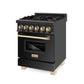 ZLINE Autograph Edition 24" 2.8 cu. ft. Dual Fuel Range with Gas Stove and Electric Oven in Black Stainless Steel with Accents - RABZ-24