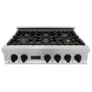 ZLINE Autograph Edition 36" Porcelain Rangetop with 6 Gas Burners in Dura Snow Stainless Steel With Accents