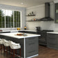 ZLINE Castor Kitchen Faucet with Color Options 