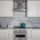 ZLINE Designer Series DuraSnow Stainless Steel Wall Mount Range Hood 