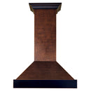 ZLINE Designer Series Wall Mount Range Hood