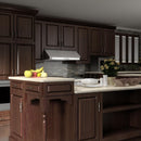 ZLINE Under Cabinet Range Hood in Stainless Steel 