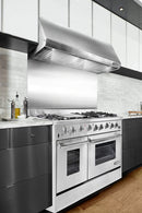 NXR 48 in. Professional Under Cabinet Stainless Steel Range Hood, RH4801
