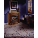 Buck Stove Model 1110 Vent Free Gas Stove - NV 11102