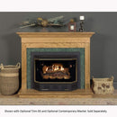 Buck Stove Model 329 Vent Free Gas Stove - C329B3