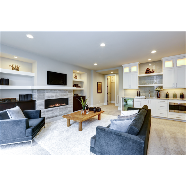 Empire Comfort Systems 46" Direct Vent, IP, Barrier