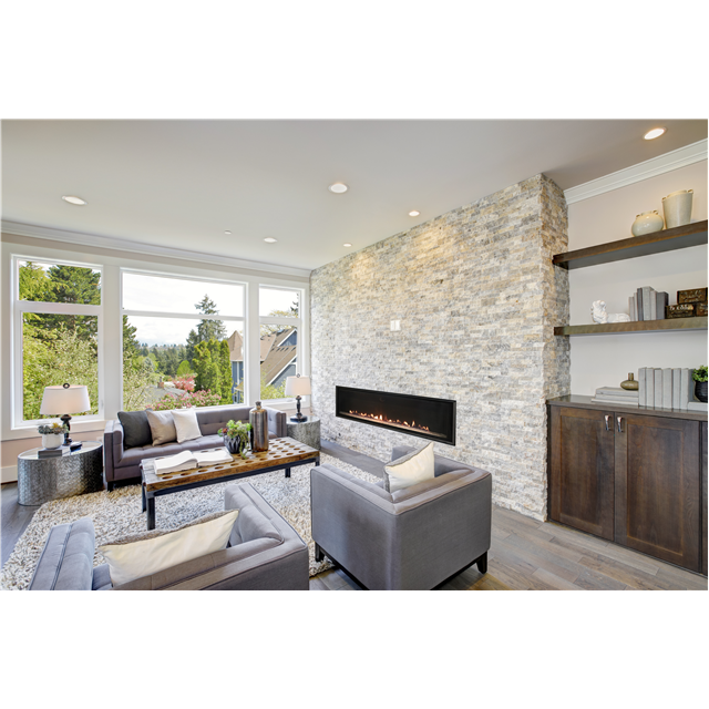 Empire Comfort Systems 46" Direct Vent, IP, Barrier