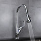 Lexora Garbatella Brass Kitchen Faucet w/ Pull Out Sprayer - Chrome LKFS9011CH