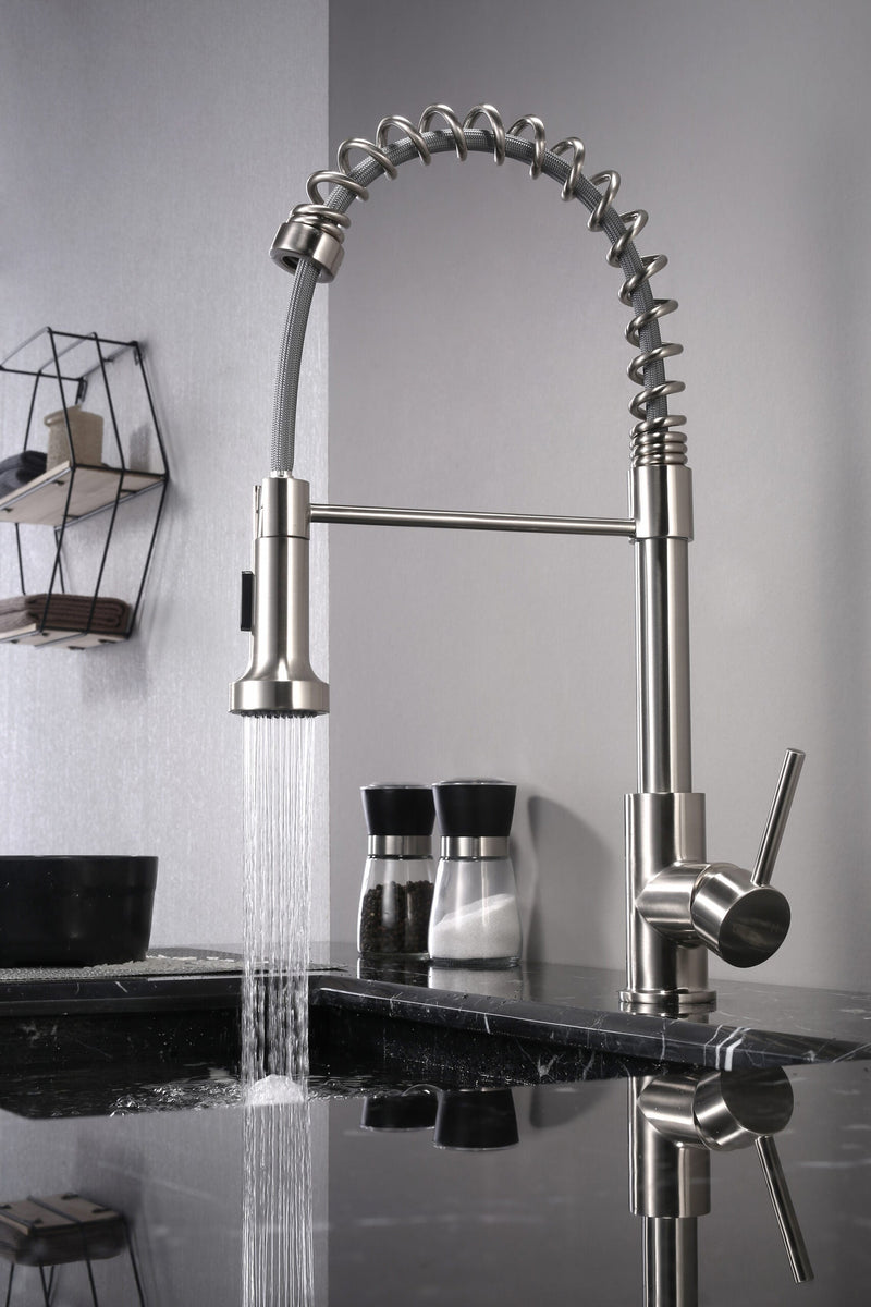 Lexora Lanuvio Brass Kitchen Faucet w/ Pull Out Sprayer - Brushed Nickel LKFS6011BN