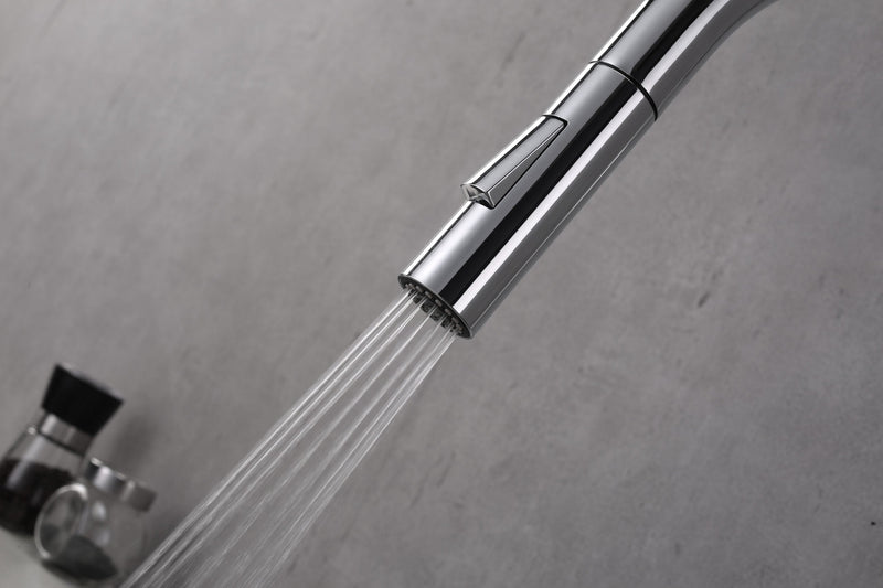 Lexora Olivi Brass Kitchen Faucet w/ Pull Out Sprayer - Chrome LKFS8011CH