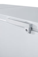 Summit 27 Cu.Ft. Chest Freezer with Stainless Steel Corner Guards