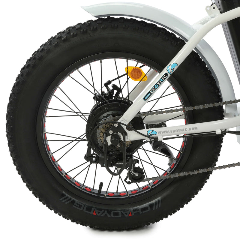 UL Certified-Ecotric 20inch White Portable and Folding Fat Bike Model Dolphin