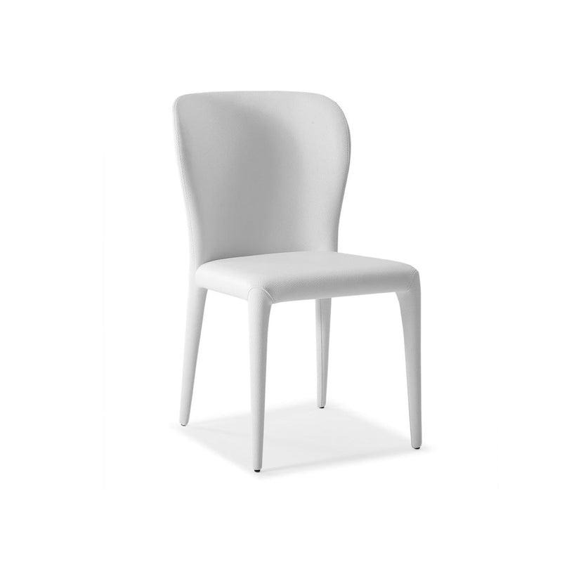 Whiteline Mod - Hazel Dining Chair DC1455 - PrimeFair